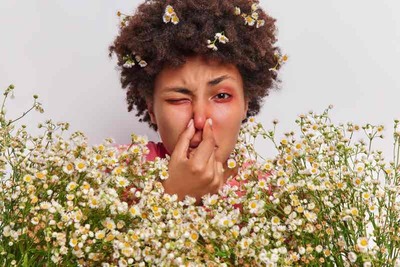 woman-has-problems-with-breathing-holds-nose-suffers-from-allergy-camomile-holds-big-bouquet-flowers-has-red-itchy-eyes